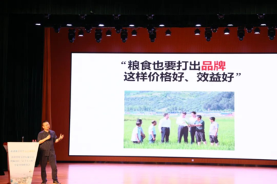 &ldquo;鄉村智庫&rdquo;、&ldquo;專家智匯&rdquo;共同加力麻章提速&ldquo;百千萬工程&rdquo;落實落細